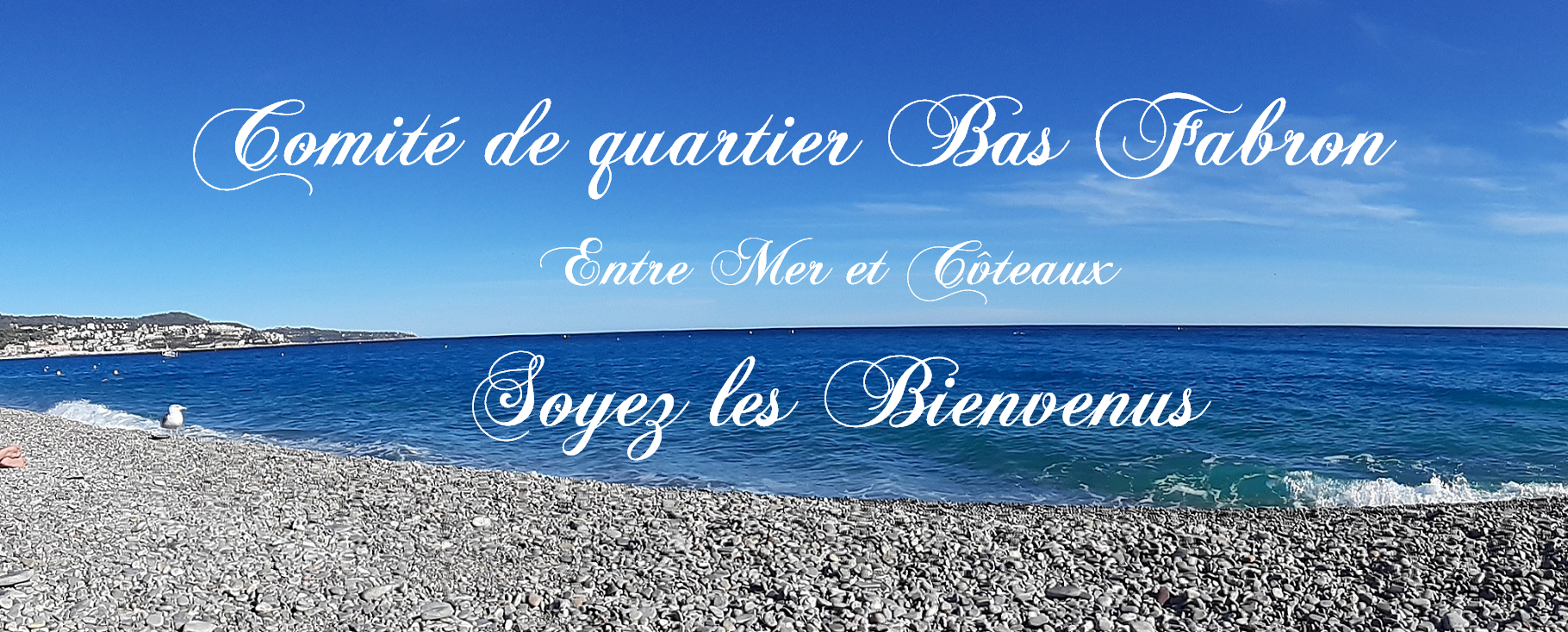 image du site